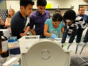 Nike Omolehin teaching Alejandra Jimenez how to rehydrate IPG stripes for proteomics.  Pictured with Jorge Reyes and Cesear Escalante.
